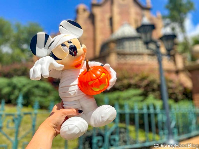Mickey Popcorn Bucket