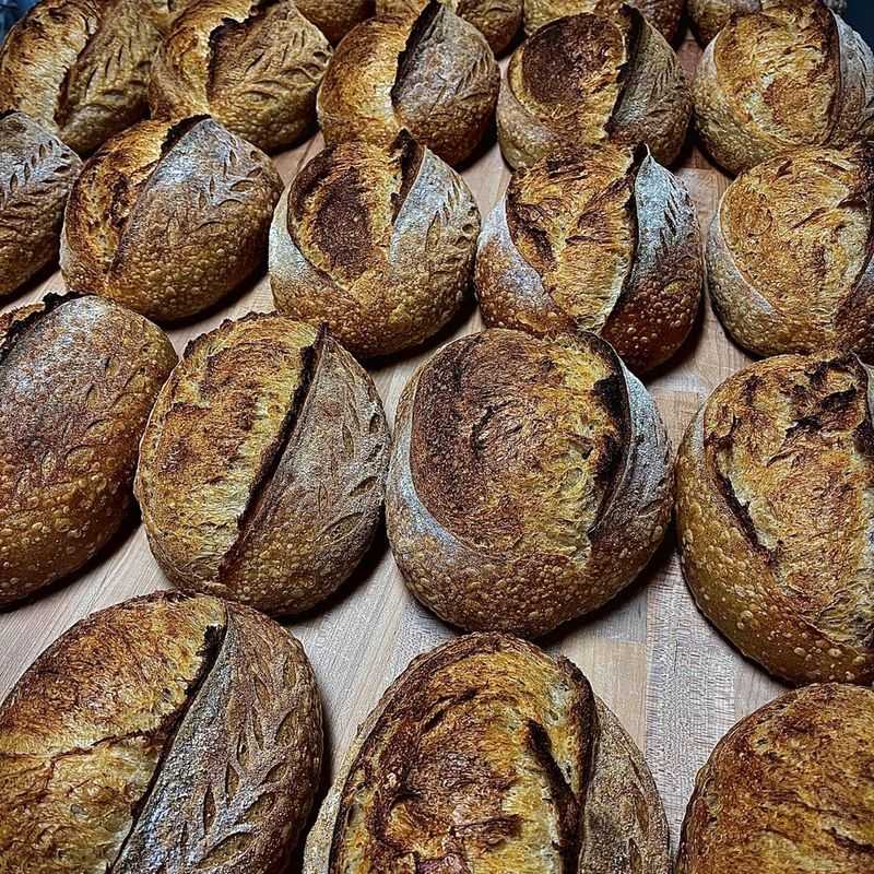 H&F Bread Co.