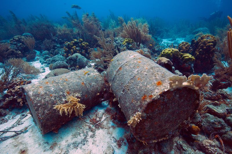 Reduced Biodiversity In Surrounding Marine Ecosystems