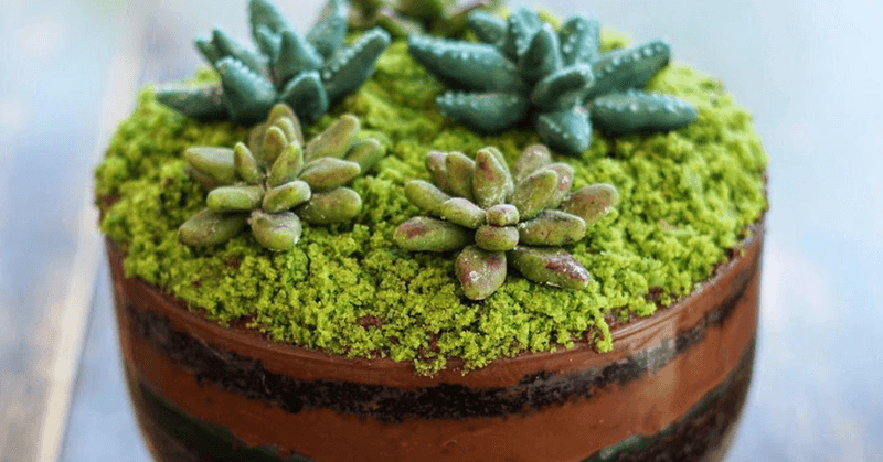 Desert Terrarium Trifle
