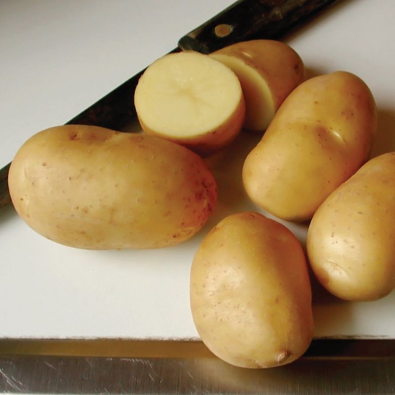 Carola Potatoes