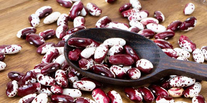 Anasazi Beans