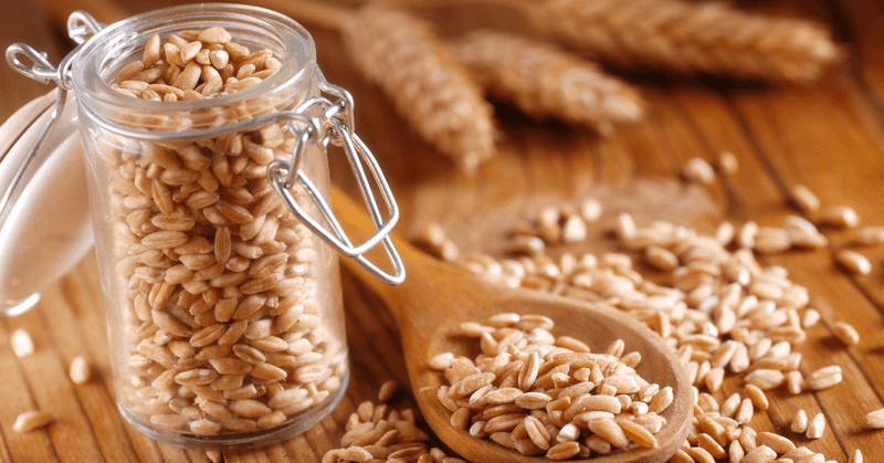 Hard Wheat Berries