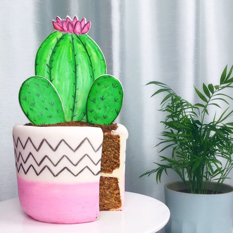 Paddle Cactus Cookies & Cream Cake