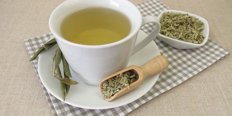 Olive Leaf Tea