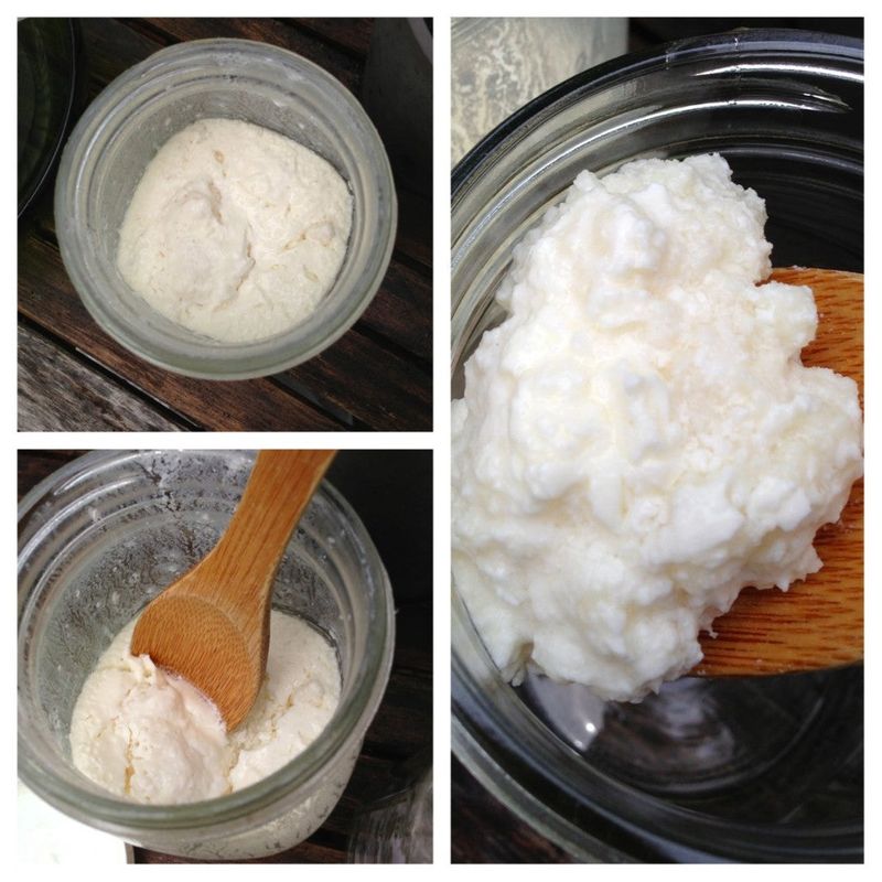 Kefir Cheese: Probiotic Cream Cheese Revolution