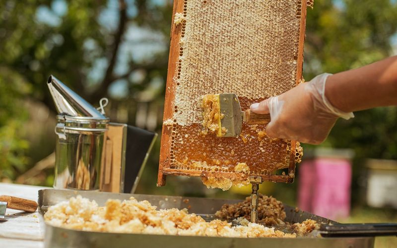 Locally Harvested Honey