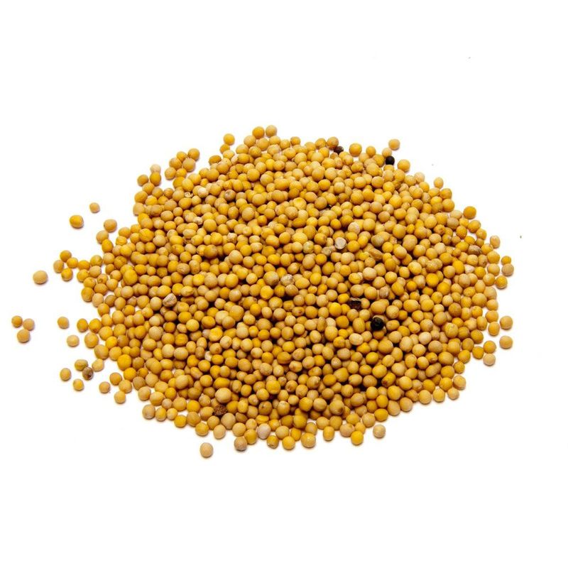 Mustard: Tiny Seed, Big Flavor