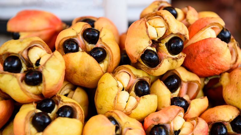 Ackee: Jamaica's Forbidden Fruit