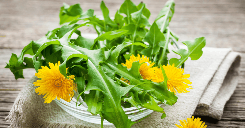 Dandelion Greens