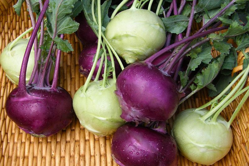 Kohlrabi