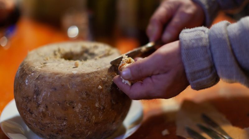 Casu Marzu: The Maggot Cheese