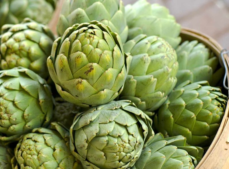 Artichoke Leaf
