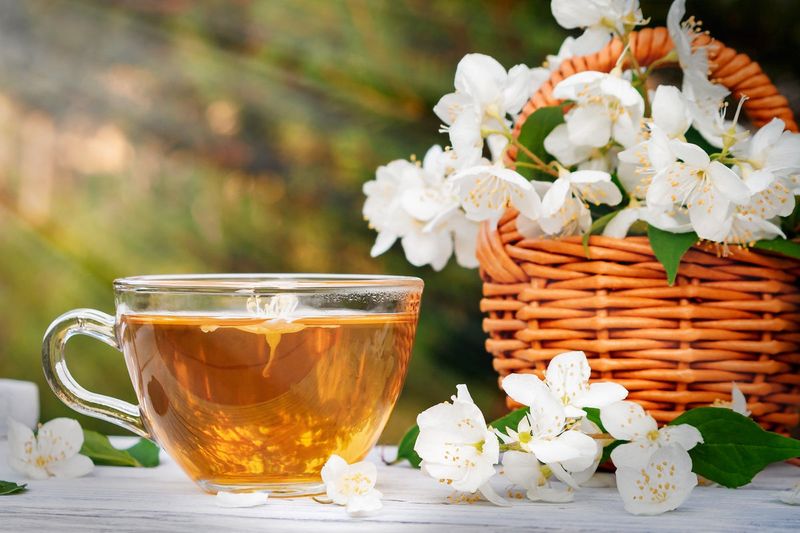 Jasmine Green Tea