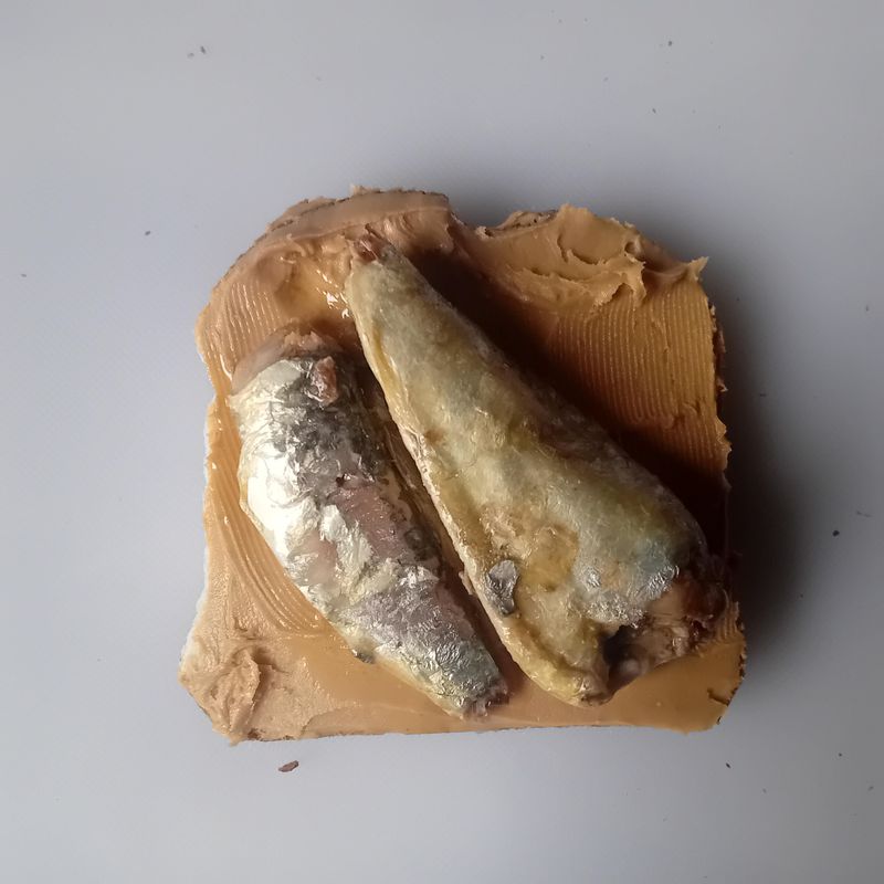 Peanut Butter And Tuna