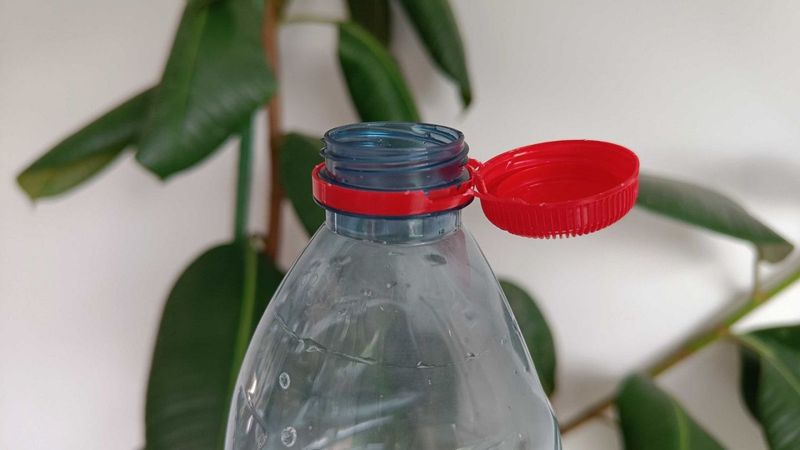 Cut The Core Out With A Bottle Cap