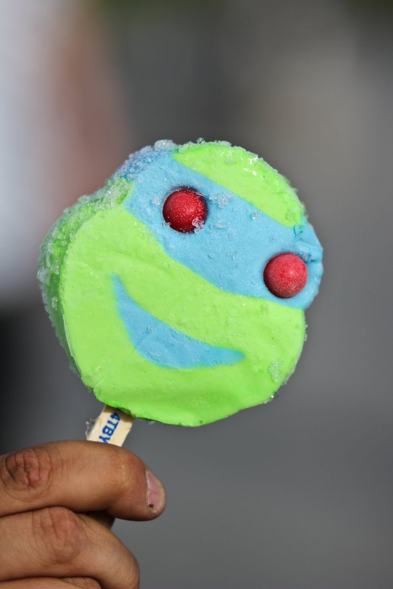 Teenage Mutant Ninja Turtle Ice Cream Bar