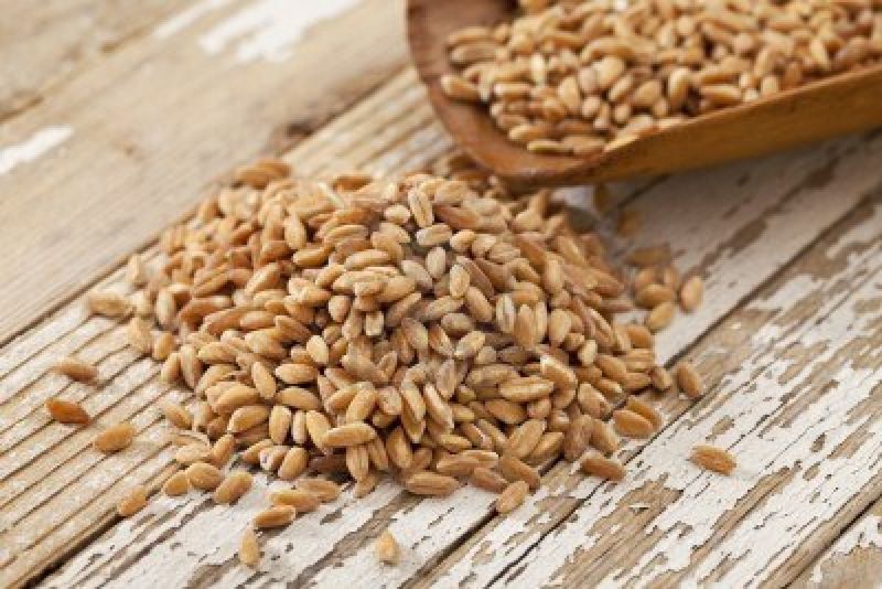 Farro