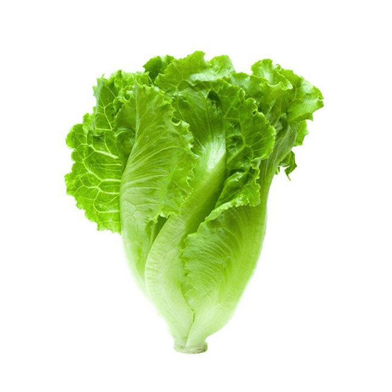 Lettuce: The Underrated Kidney Helper
