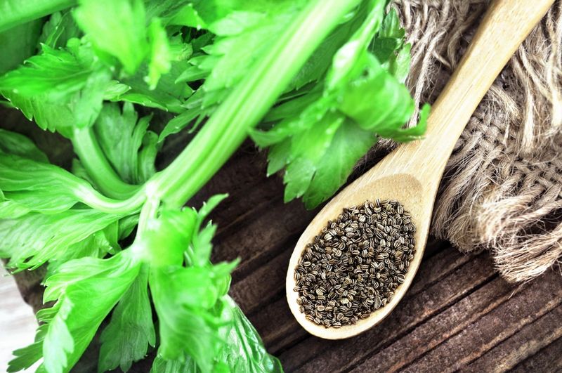 Celery Seed