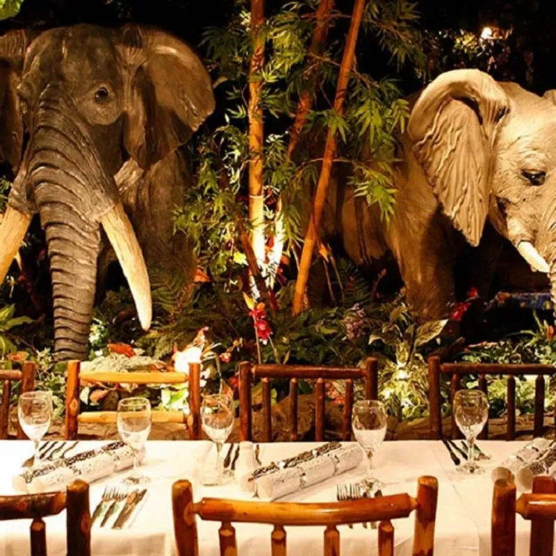 Rainforest Café (Disney Springs & Animal Kingdom)