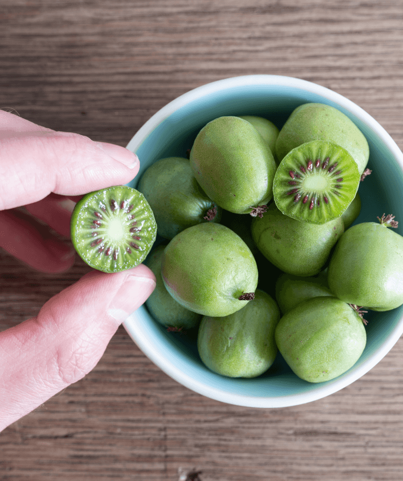 Vibrant Kiwiberries