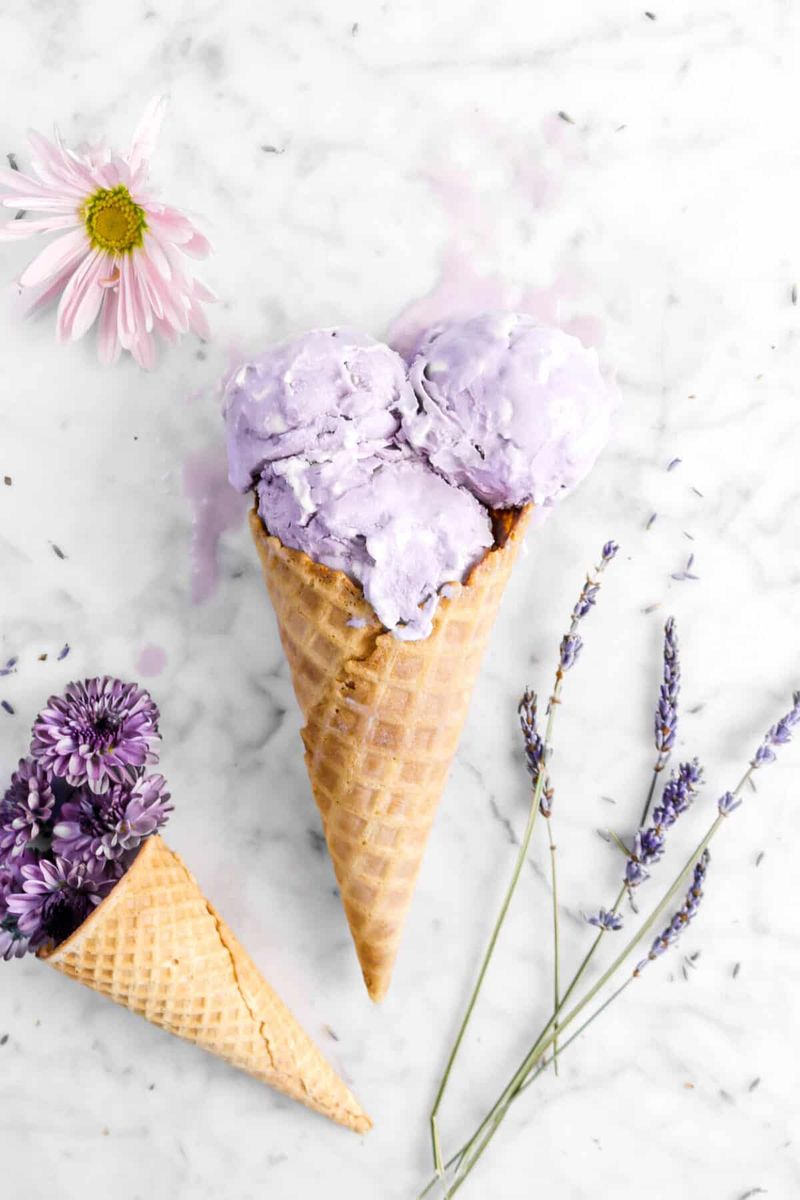 Lavender