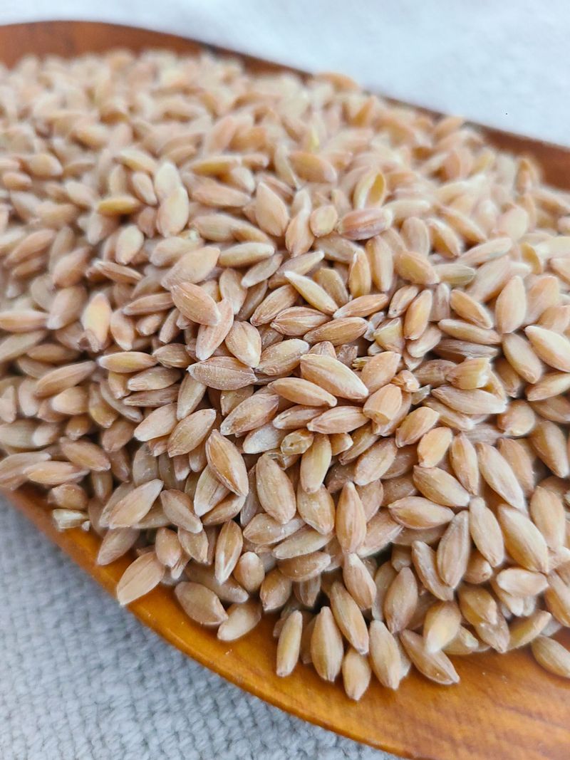 Einkorn: The Original Wheat