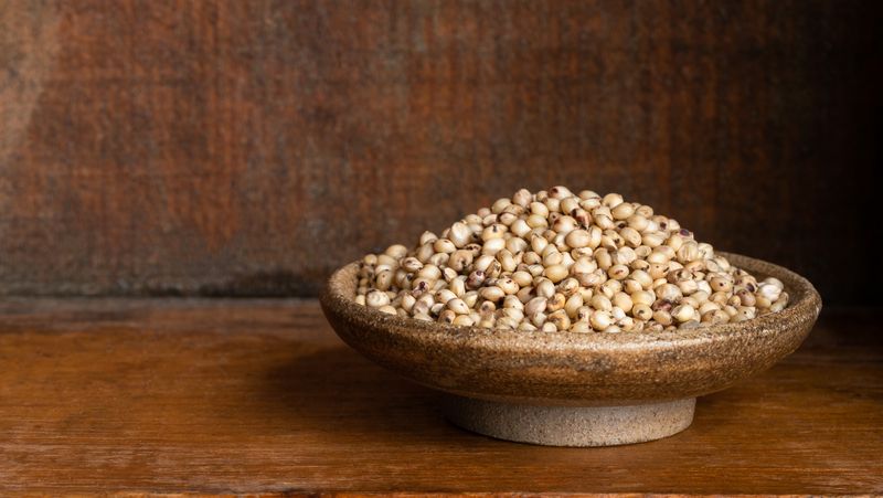 Sorghum