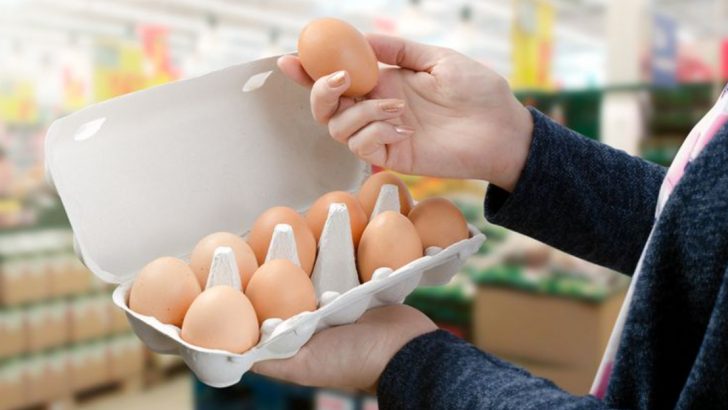 The Egg Brand List You Need: 8 That Deliver Quality And 8 That Definitely Don’t