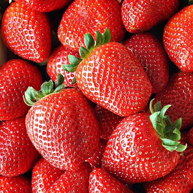 Strawberries: The Red Alert