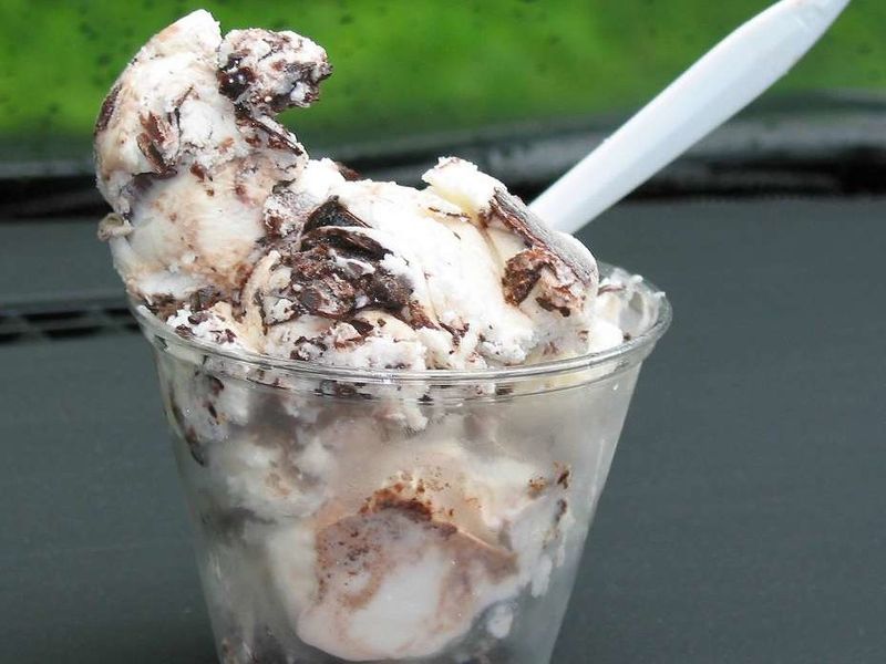 Alabama – Moose Tracks