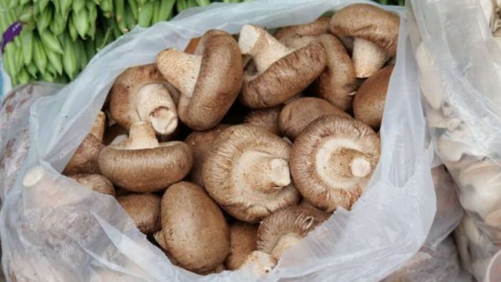 Think Before You Wrap: 10 Foods Plastic Wrap Can Ruin, And 5 That Are Safe
