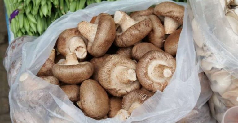 Think Before You Wrap: 10 Foods Plastic Wrap Can Ruin, And 5 That Are Safe