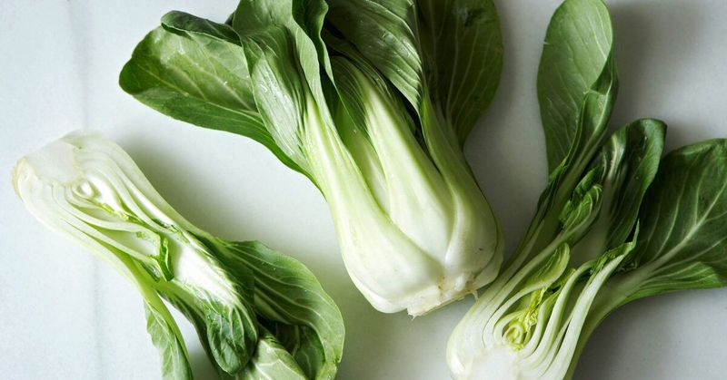 Bok Choy