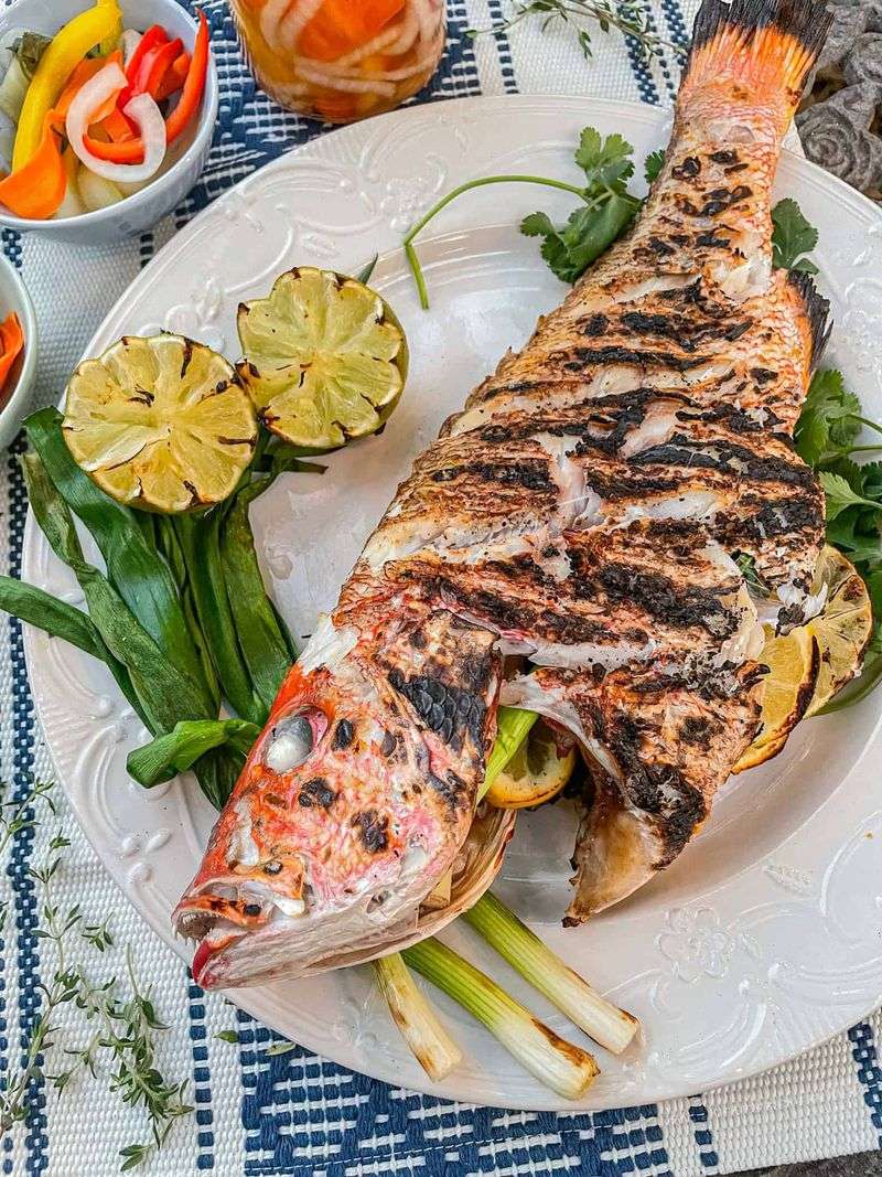 Snapper