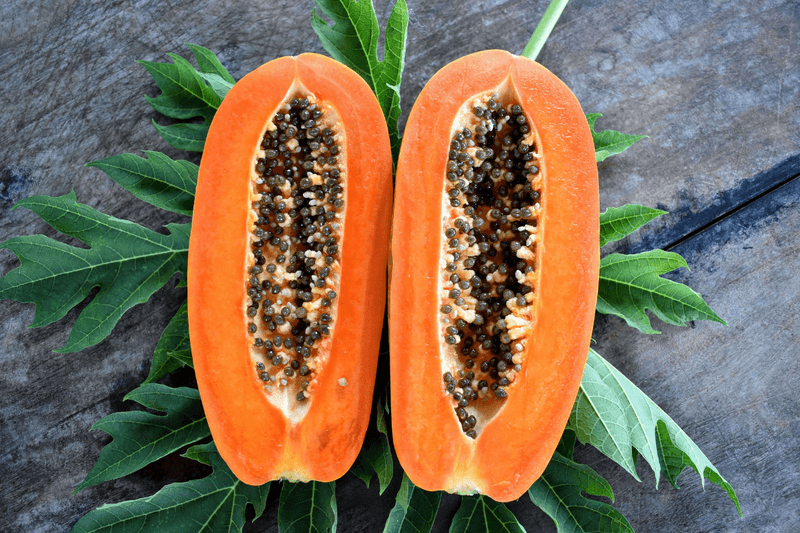 Papaya