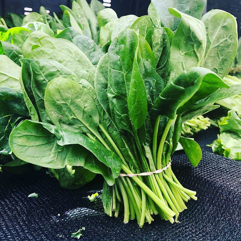 Spinach: Popeye's Anxiety Antidote