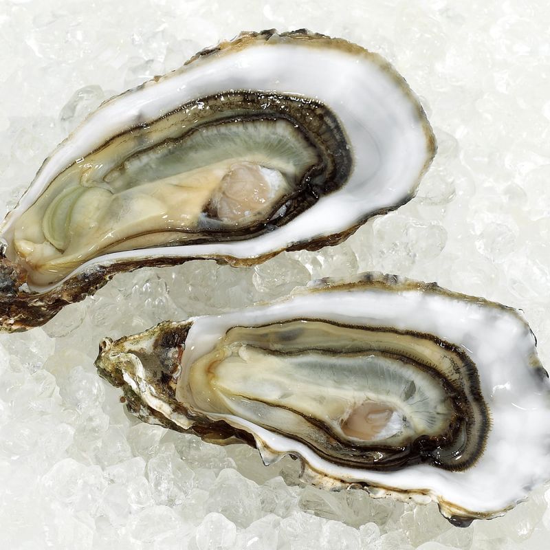 Oysters On The Half Shell