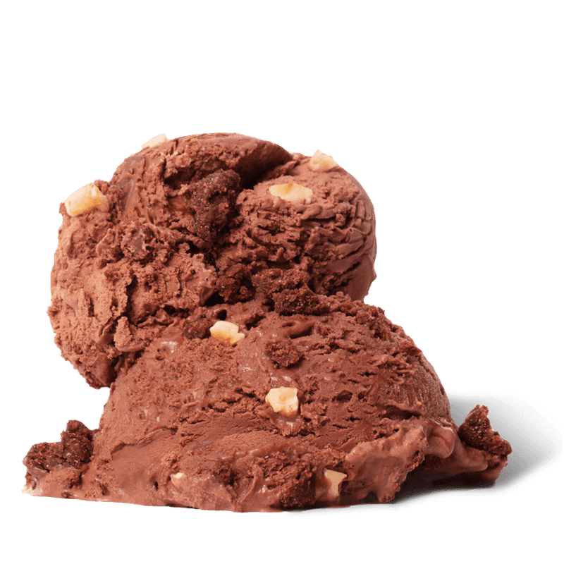 Coconut Bliss Chocolate Hazelnut Fudge