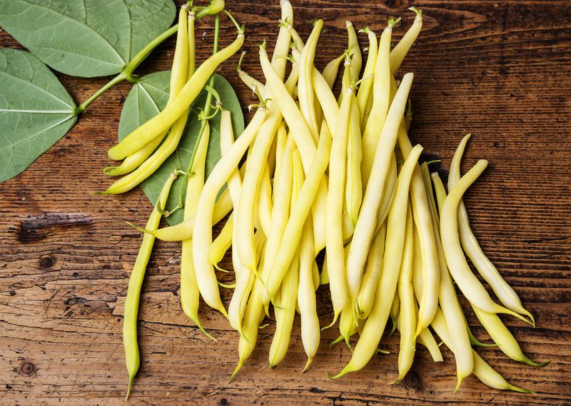 Cherokee Yellow Wax Bean