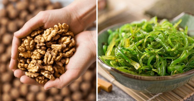 plant based omegas