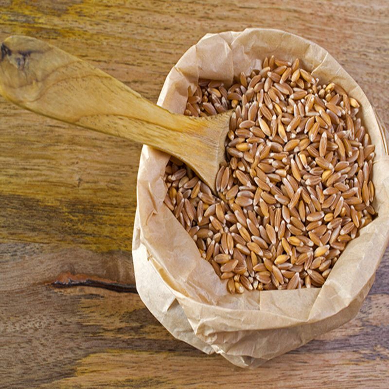 Emmer: The Forgotten Farro Ancestor