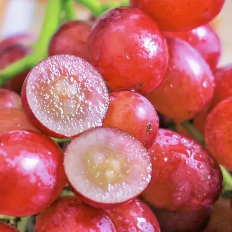 Frozen Grapes