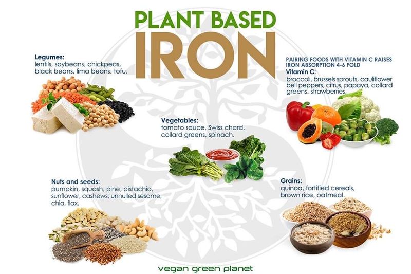 Iron Needs Special Attention