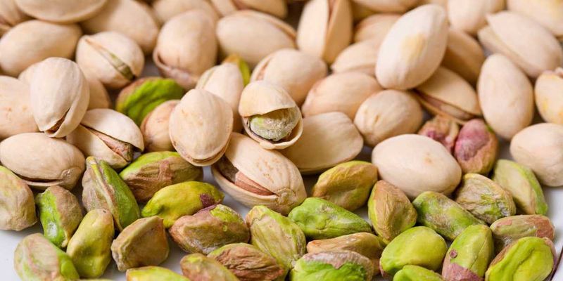 Protein-Packed Hunger Fighters