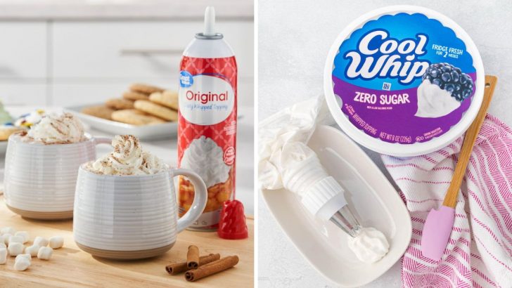 10 Whipped Cream Brands That Belong Nowhere Near Your Dessert
