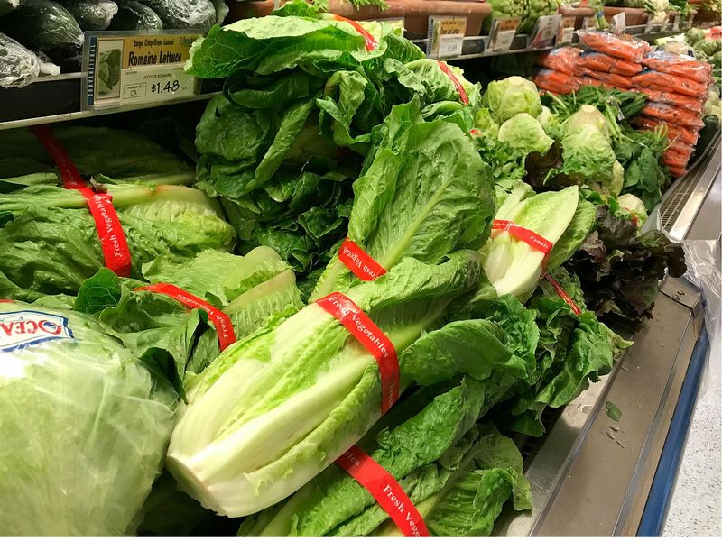 Romaine Nightmare: Yuma, Arizona (2018)
