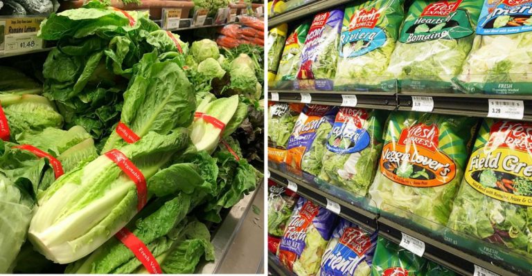 Lettuce Recalls