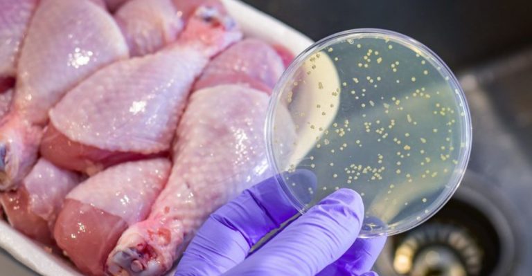 foods that are very likely to cause food poisoning